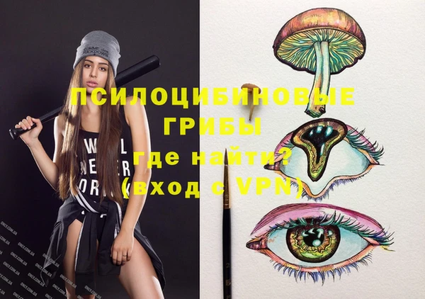 дживик Мегион