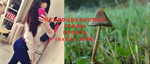 дживик Мегион