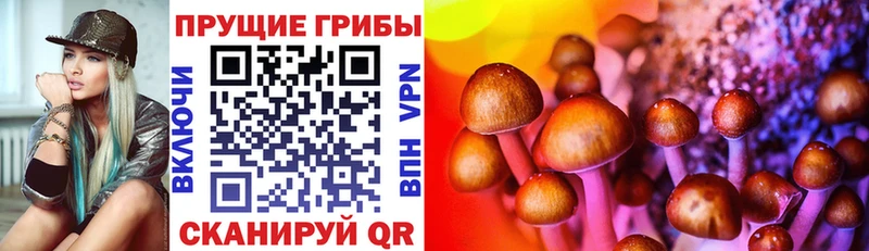 Псилоцибиновые грибы ЛСД  МЕГА ТОР  Первоуральск  продажа наркотиков 