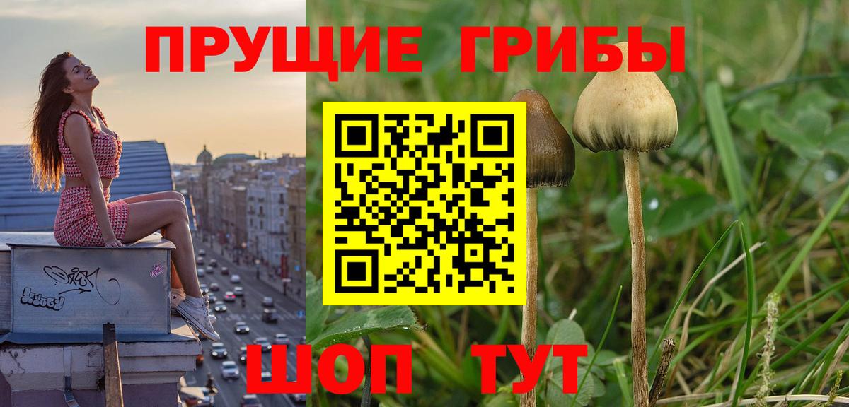 Галлюциногенные грибы MAGIC MUSHROOMS  Псилоцибиновые грибы прущие грибы  где можно купить наркотик  Первоуральск  Вход с VPN 